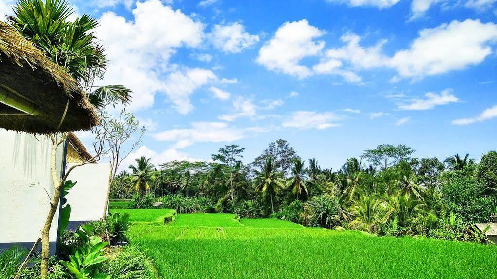 Amatara Abirama Villas Ubud Extérieur photo