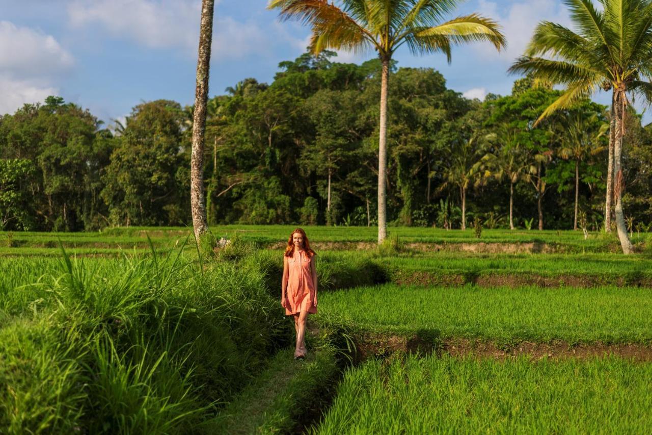 Amatara Abirama Villas Ubud Extérieur photo